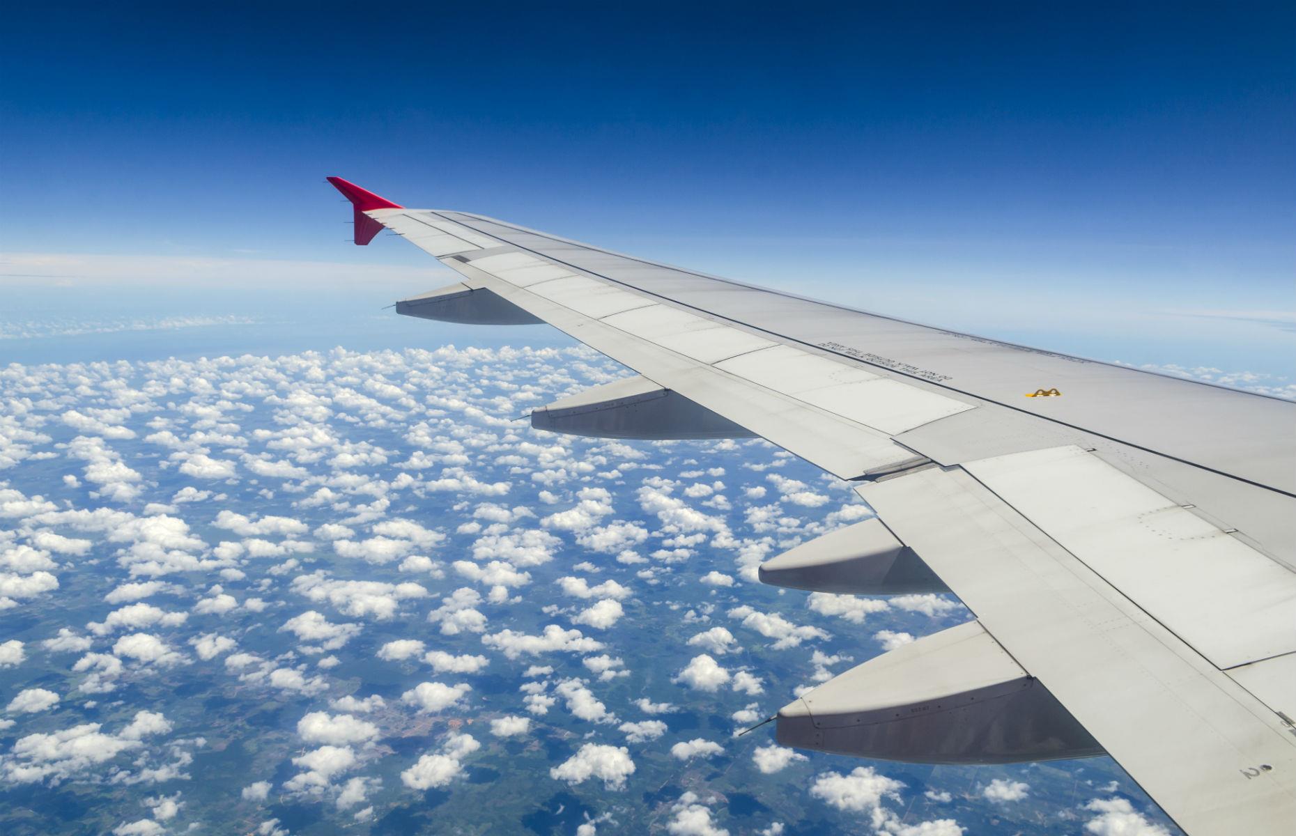 Mile high club membership 